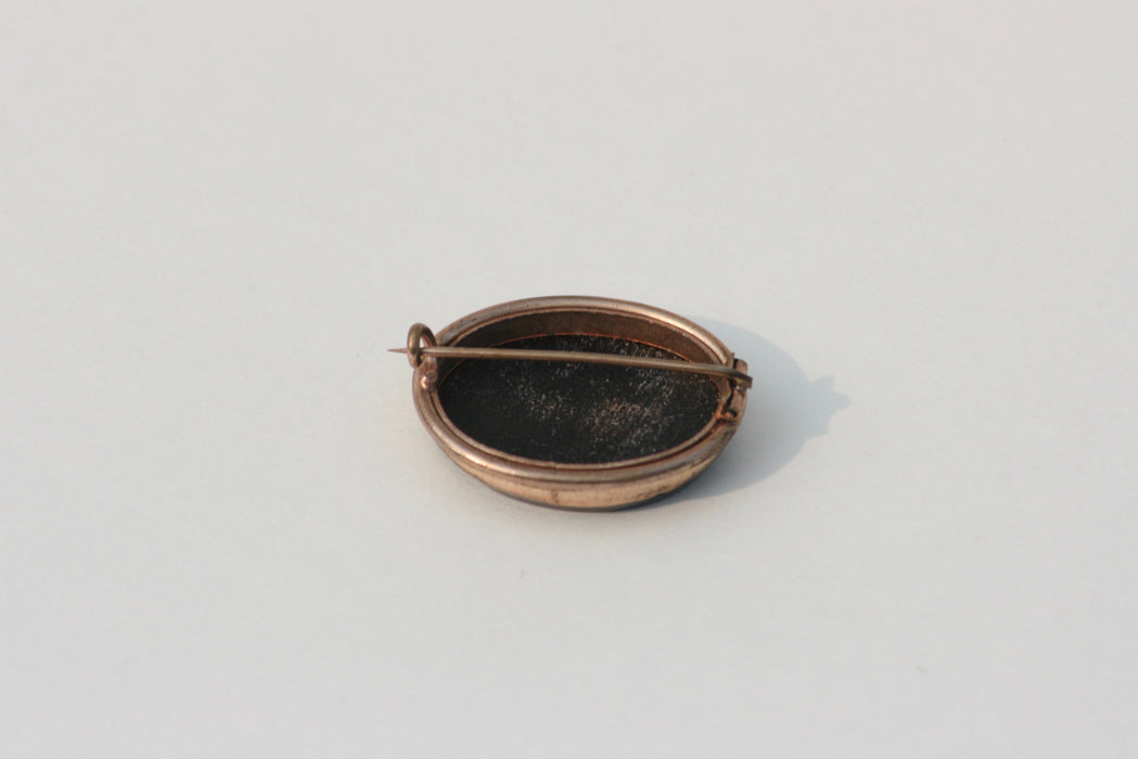 Doves of Pliny Brooch